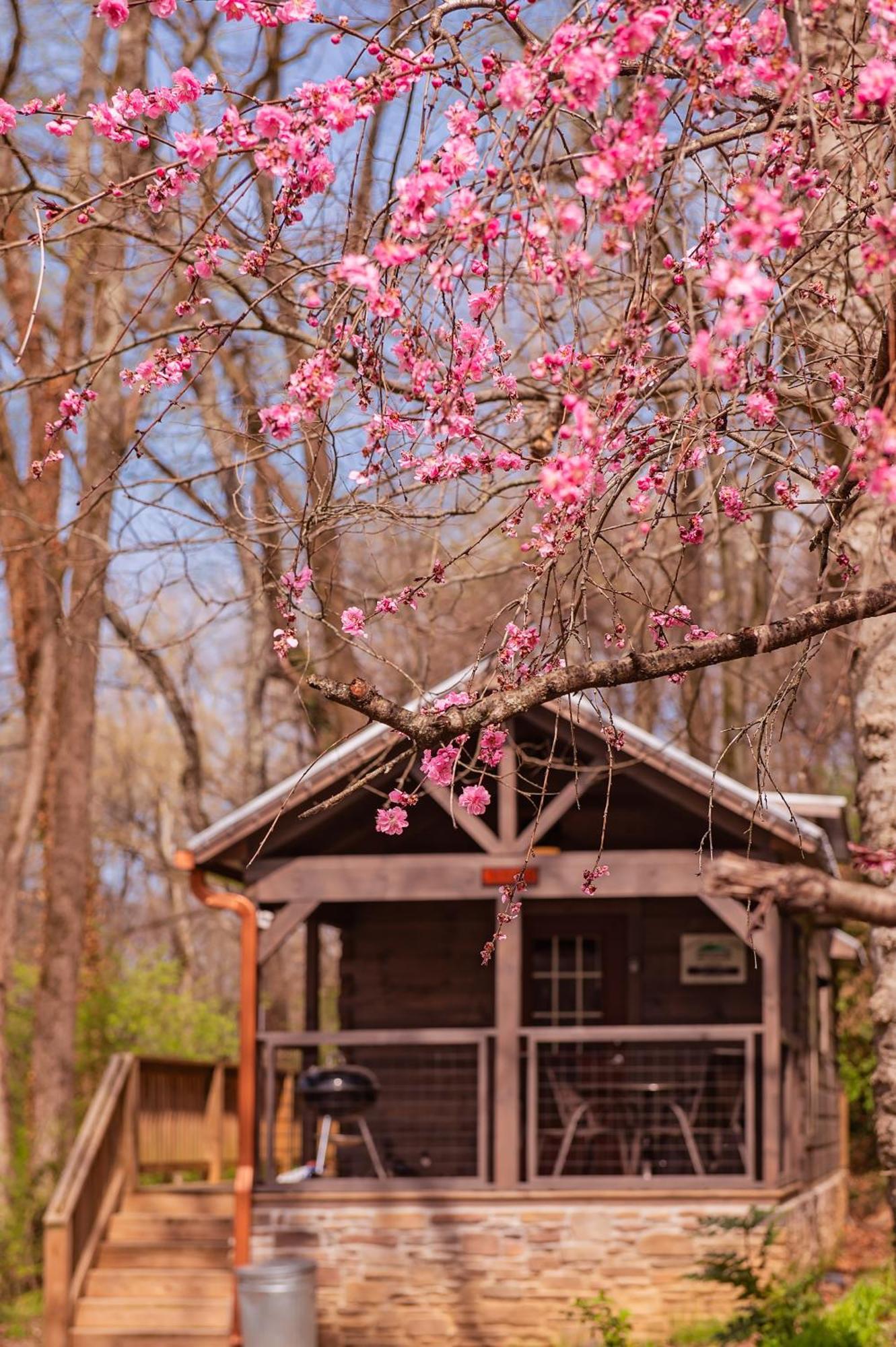 Ryon Tiny Home Cabin City-Side Rustic Retreat Chattanooga Luaran gambar